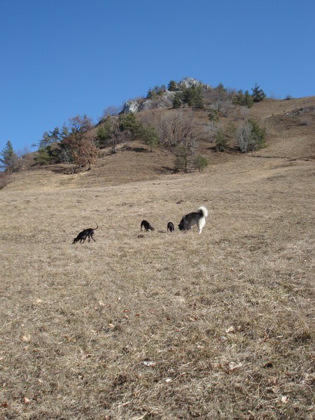 Pohod na grmado - foto povečava