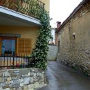 Jasminum - Jasmin Avtor: potonka rastline.mojforum.s