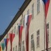 med mnogimi tudi slovenska zastava