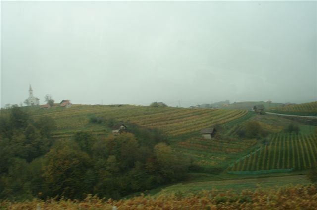 vinogradi ob hrvaški meji