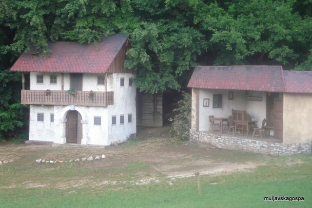 Kloštrski žolnir, junij 2009 - foto