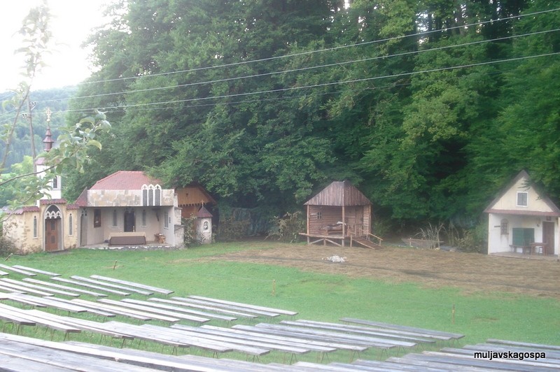 Kloštrski žolnir, junij 2009 - foto povečava
