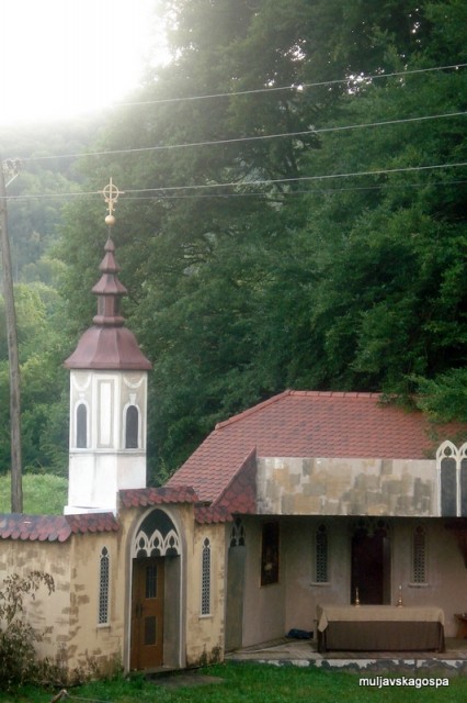 Kloštrski žolnir, junij 2009 - foto