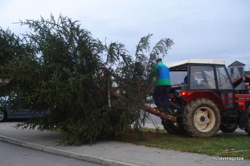 Postavljanje novoletne smreke, december 2009 - foto povečava