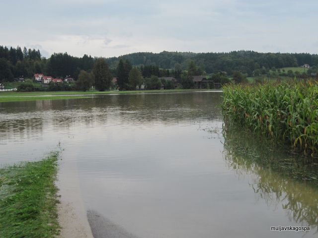 Poplave v KS Muljava (slike bralcev),  - foto