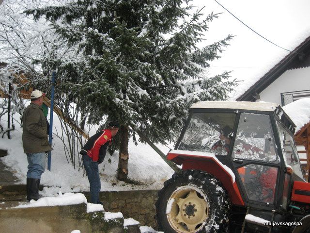 Okraševanje na Muljavi, december 2010 - foto