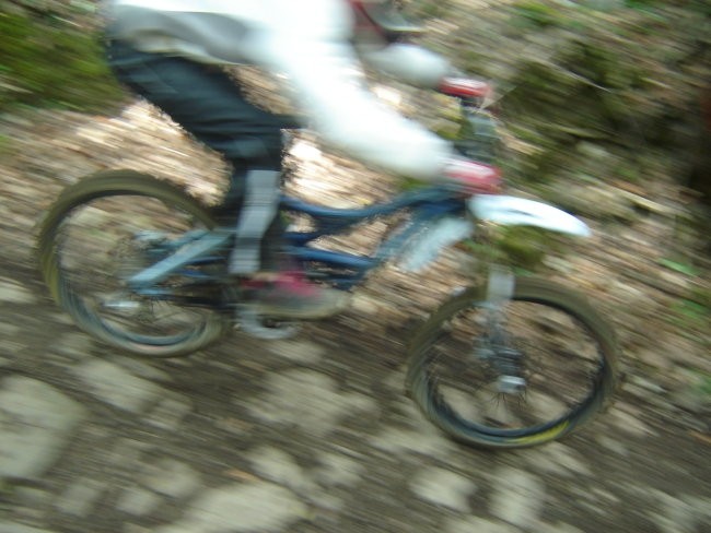 Avče DH 2008 - sobotni trening - foto povečava