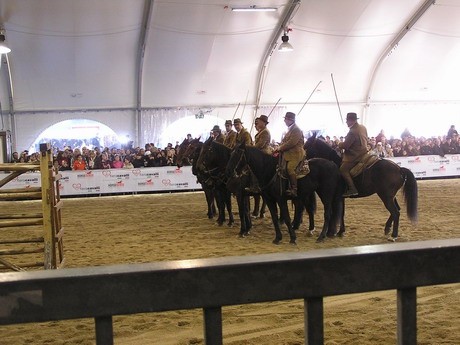 Fiera cavalli Verona 2007 - foto povečava