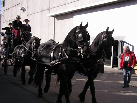 Fiera cavalli Verona 2007 - foto