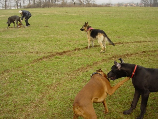 Zajčja Dobrava 26.3.2005 - foto