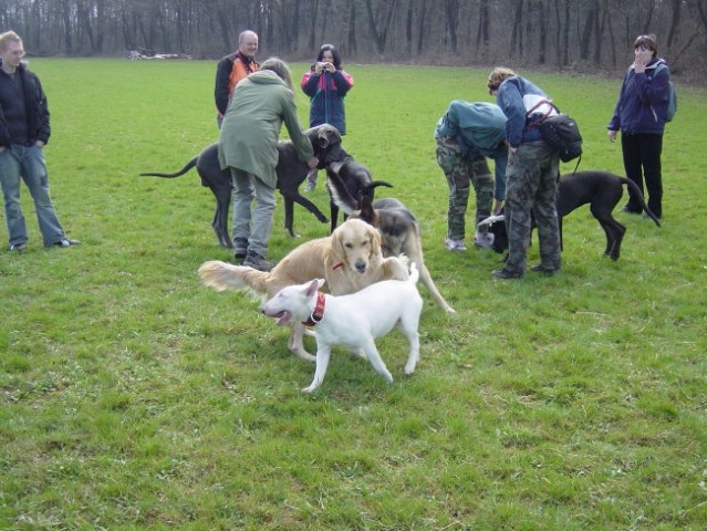 Zajčja Dobrava 2.4.2005 - foto