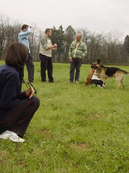 Zajčja Dobrava 16.4.2005 - foto povečava