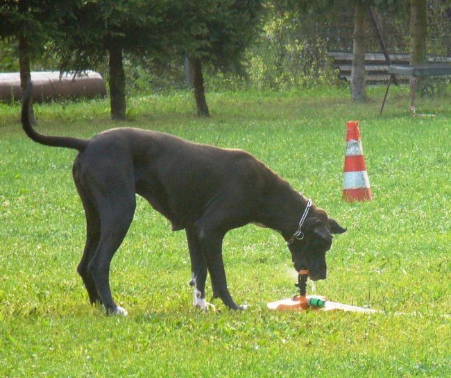 24. in 25. junij 07 - foto povečava