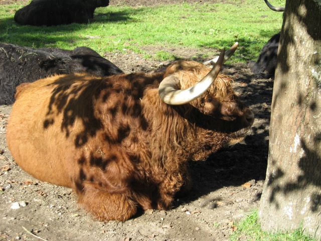 Logarska dolina - foto