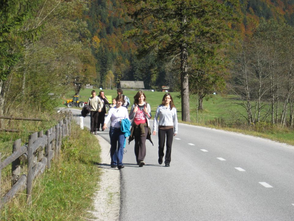 Logarska dolina - foto povečava