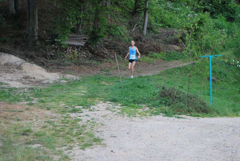 Mošenjski tek 2010 - foto povečava