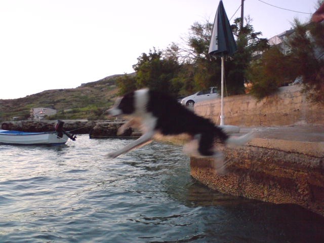 Morje Pag 2008 - foto povečava