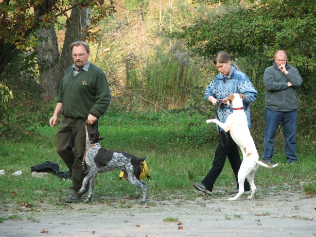 Tecaj - foto povečava