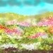 Cvetoči travnik II