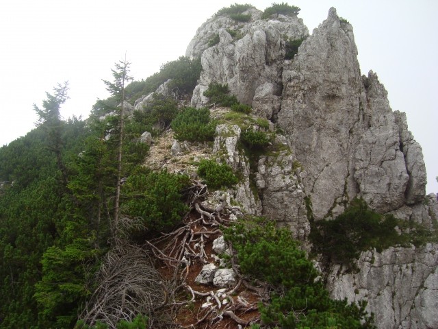 Vrh Osojne krnice z grebena