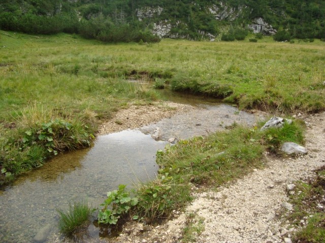 Meander potoka