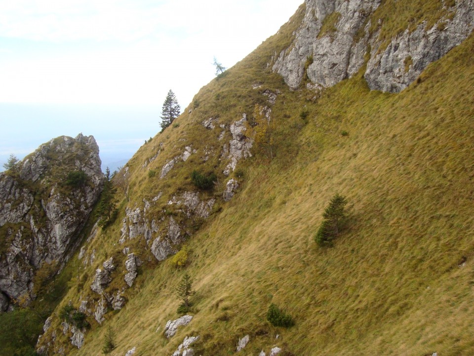 Velika planina cez Vrtlase - foto povečava