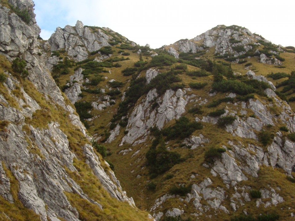 Velika planina cez Vrtlase - foto povečava