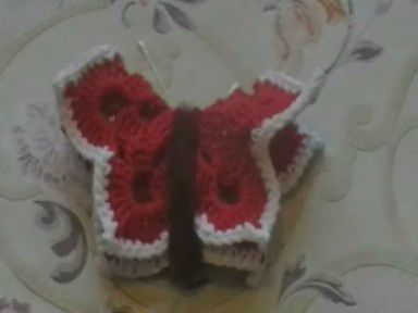 Kvačkani metulji - foto povečava