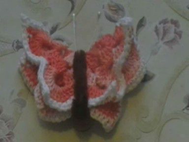 Kvačkani metulji - foto