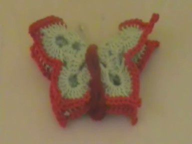 Kvačkani metulji - foto