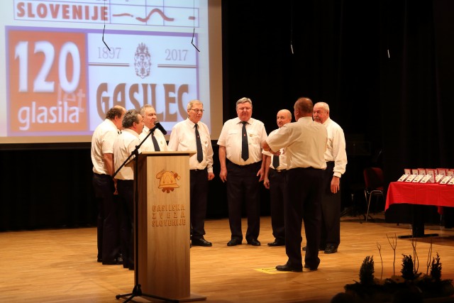 Gasilec Dobre Polje - foto