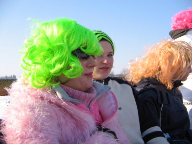 Hitre afne pri godlarjih 2005 - foto