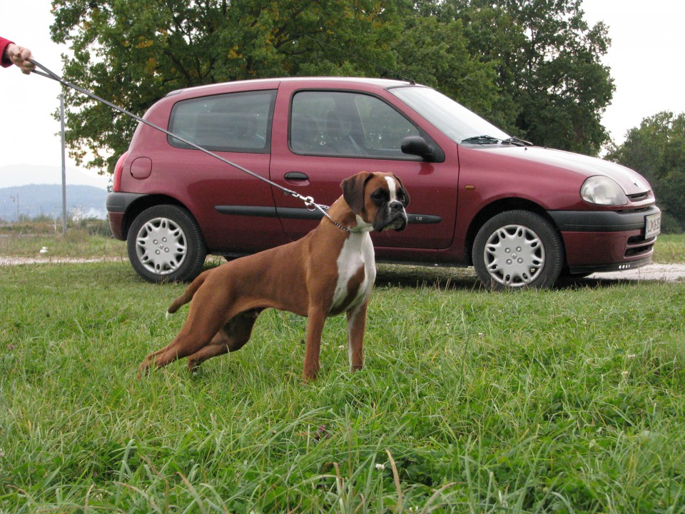 RAMON - foto povečava