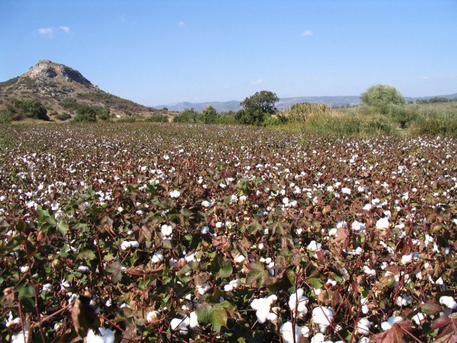 Turčija 2005 - foto povečava