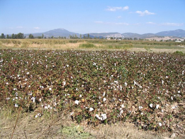 Turčija 2005 - foto povečava