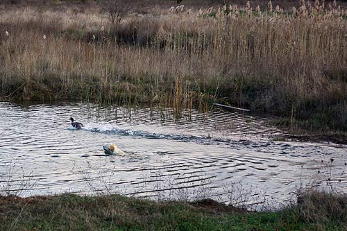 CACT Umag 11/2008 - foto povečava