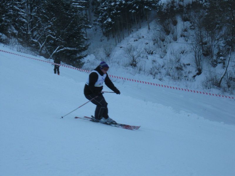 2. VELESLALOM GODBENIKOV SLOVENIJE - foto povečava