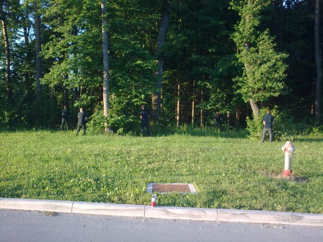 TEKMOVANJE V IGRANJU KORAČNIC- MENGEŠ - foto