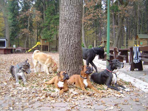 Zajcja dobrava29.11 - foto