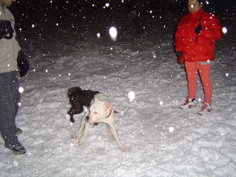 Benov prvi sneg - foto