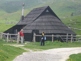 Velika planina - foto povečava