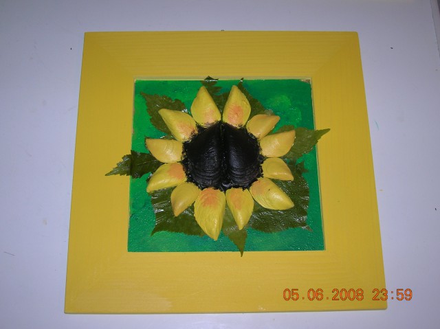 Sončnica iz školjk, na podlagi iz suhih listov1