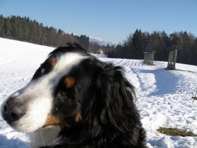 21.12.05 - Iskanje zapuscene zelezniske posta - foto