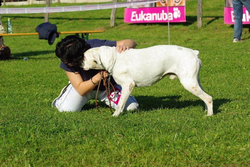 OBF 2008 z AJKOM - foto povečava