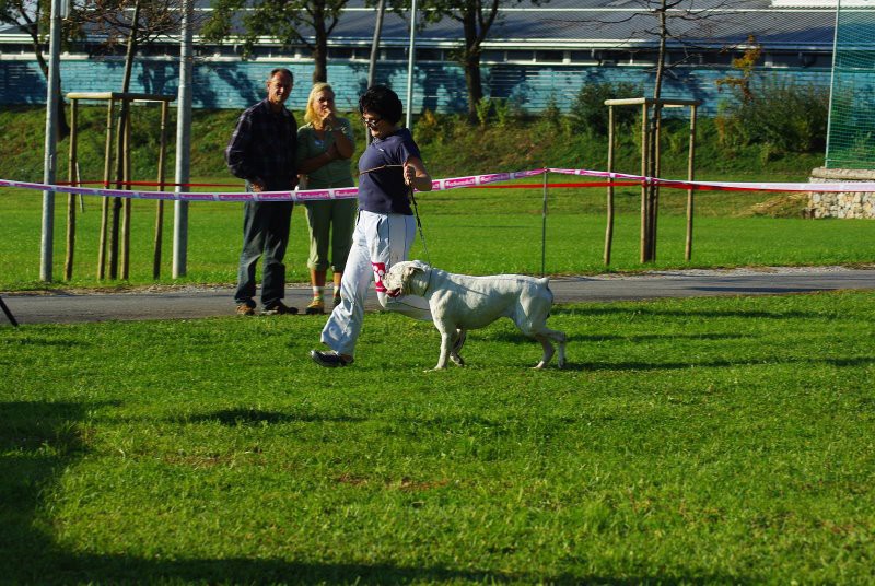 OBF 2008 z AJKOM - foto povečava