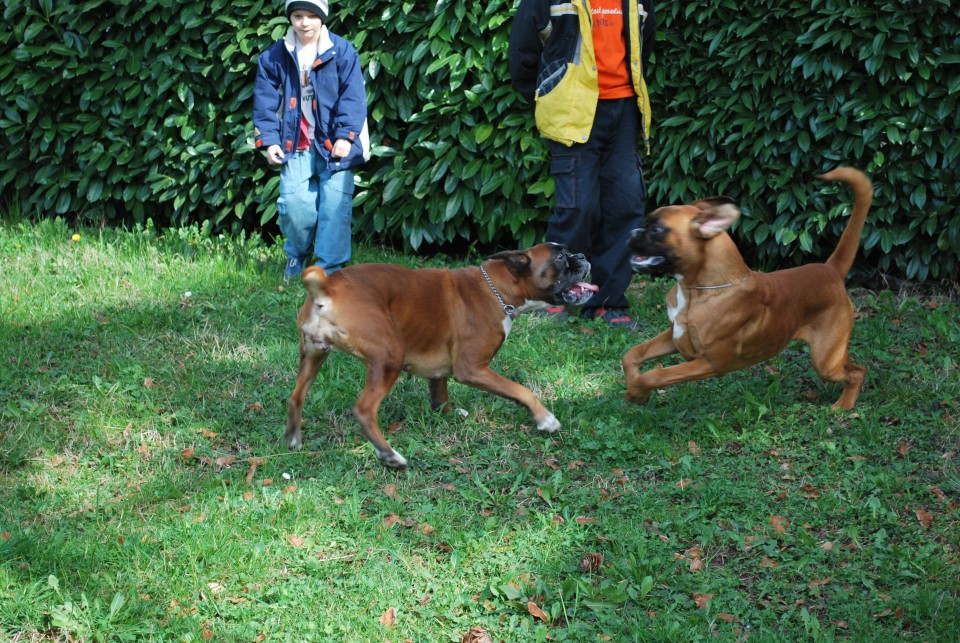 MAREC 2009 - foto povečava