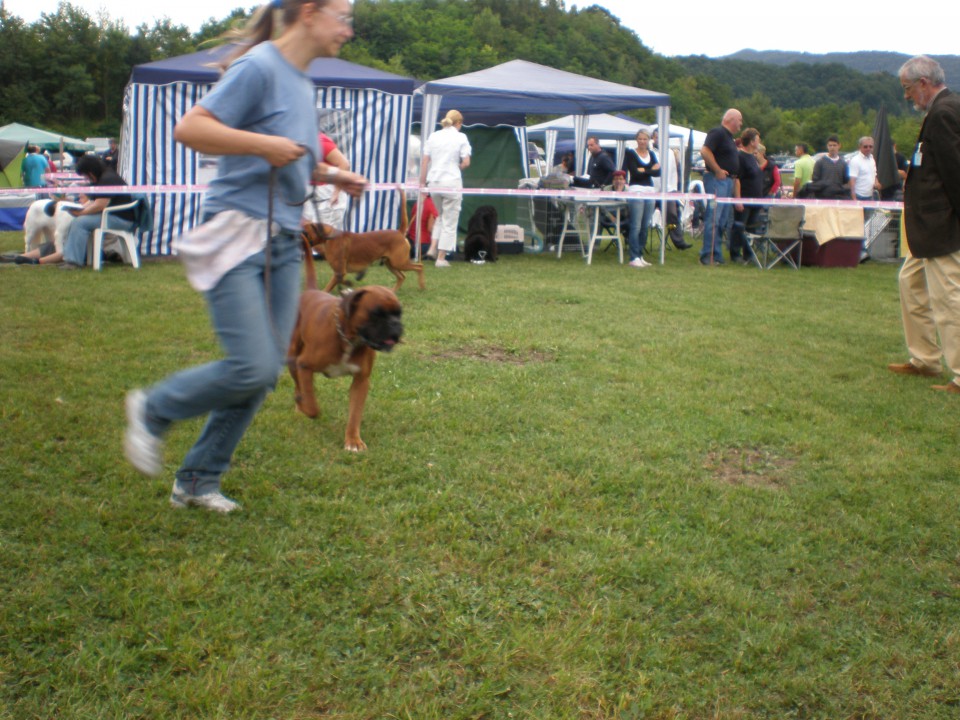 CAC TRBOVLJE 2009 -EXC V2 - foto povečava