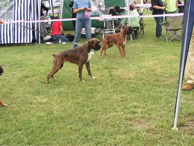 CAC TRBOVLJE 2009 -EXC V2 - foto