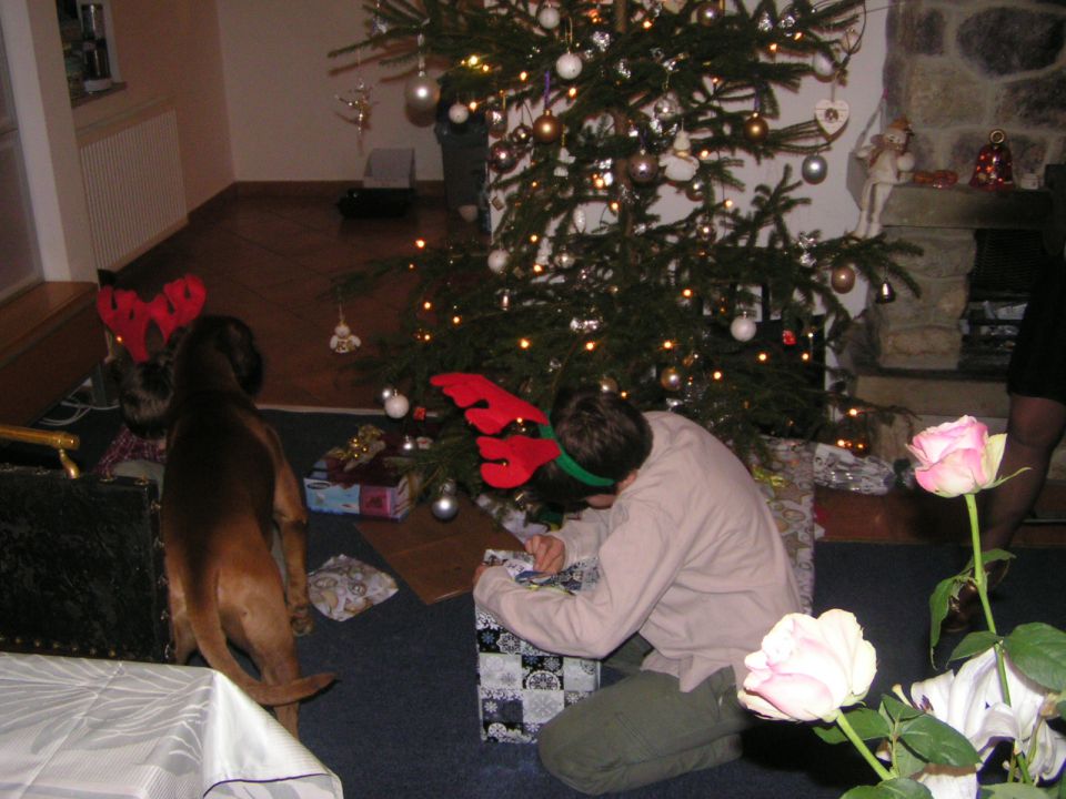 Božič2009 - foto povečava