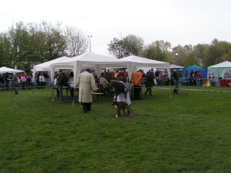 CACIB POHORJE 2010 18-4-2010 - foto povečava